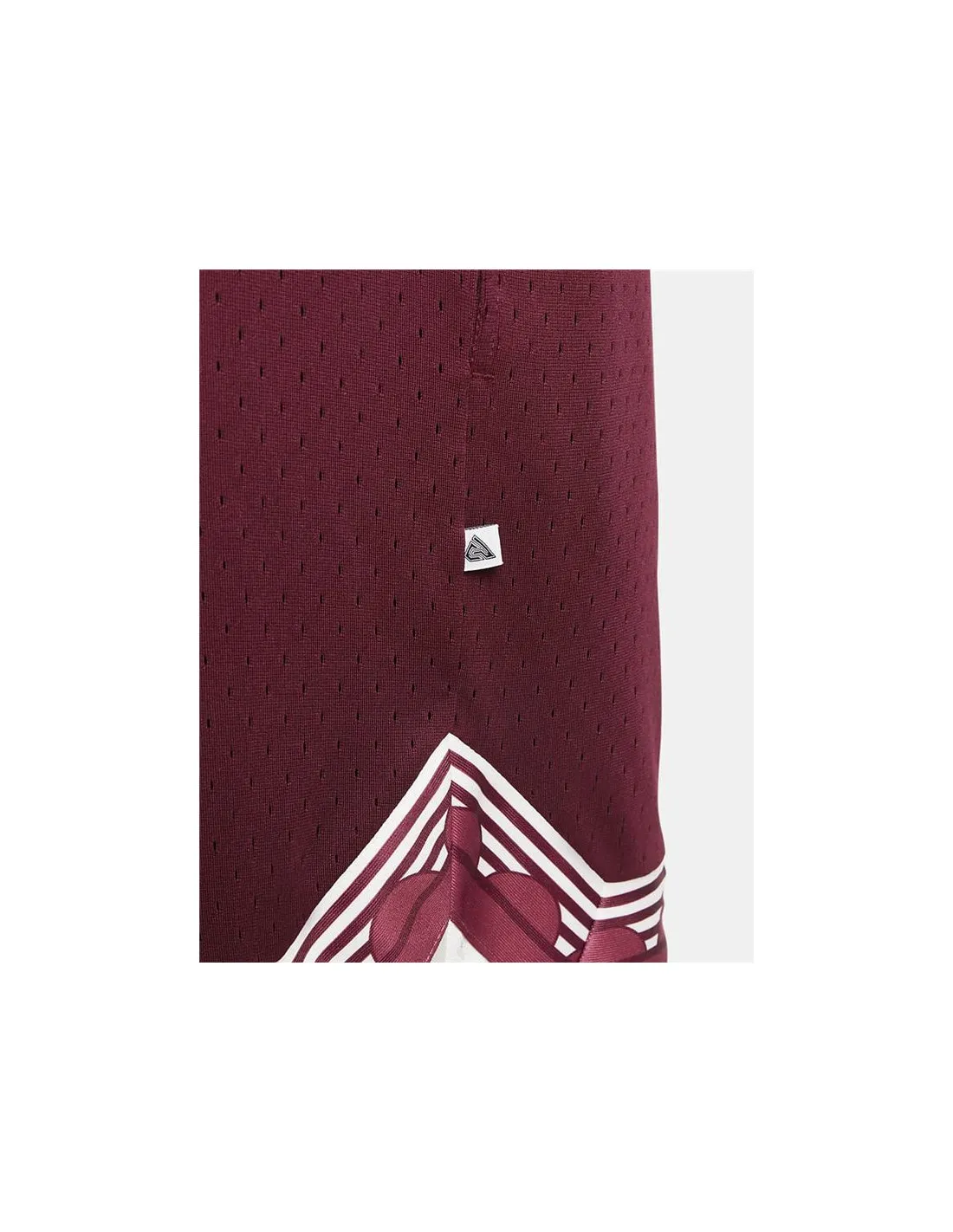 Pantalones de baloncesto Nike Gianni Hombre Purple